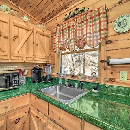 Franklin Cabin With Porch Near Hiking And Waterfalls! Ngoại thất bức ảnh