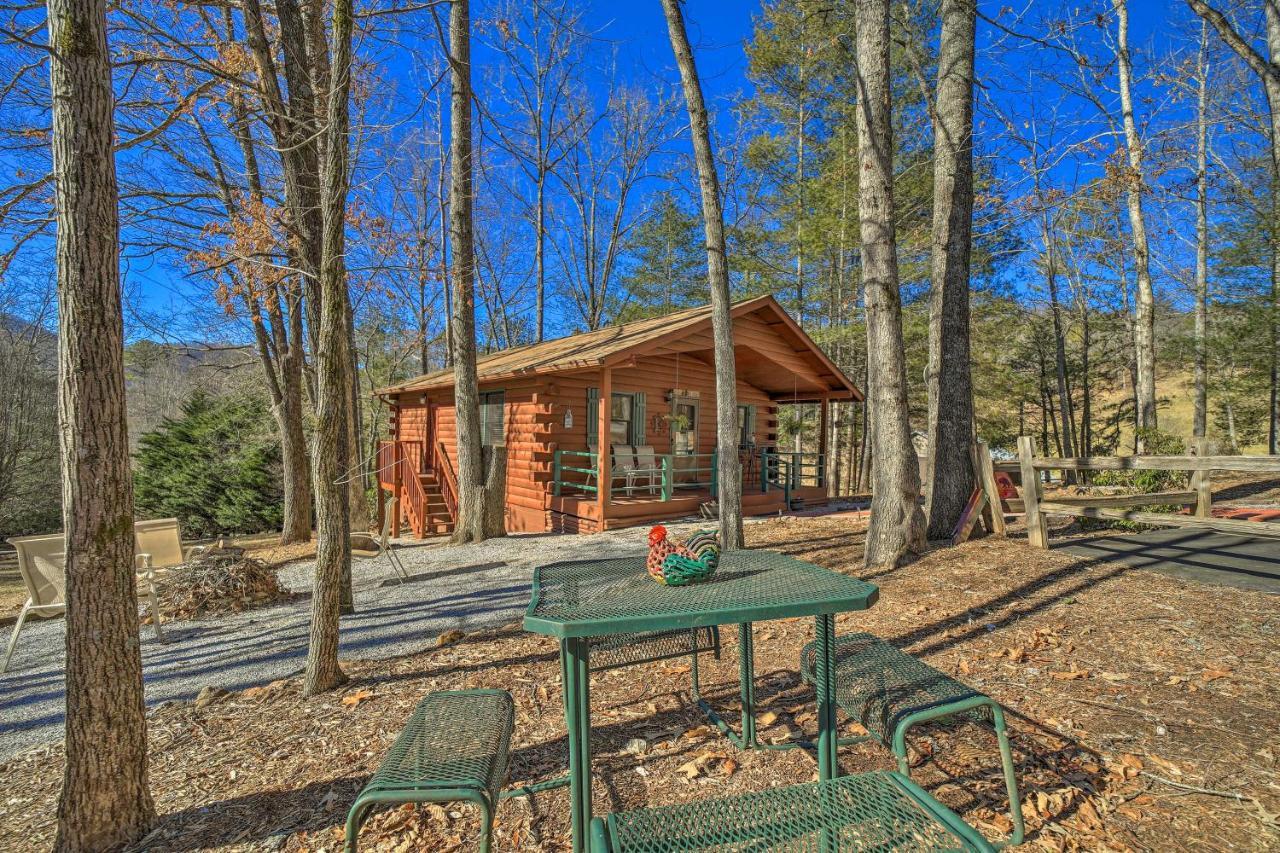 Franklin Cabin With Porch Near Hiking And Waterfalls! Ngoại thất bức ảnh